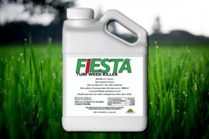 Buy Fiesta weed killer to get a lawn as green as one pictured. There is a product image of Fiesta placed on top of the image of the grass.