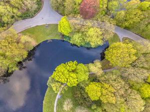 Tree service in Forked River keeps these trees around a lake beautiful