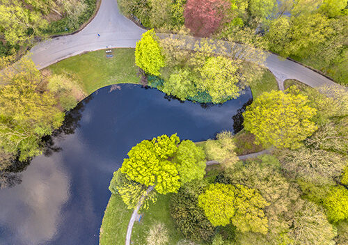 Tree service in Forked River keeps these trees around a lake beautiful